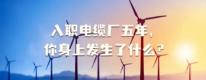 入職電纜廠五年，你身上發(fā)生了哪些變化~